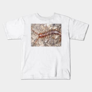 Stone centipede Kids T-Shirt